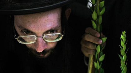 JERUSALEM -- An Ultra-Orthodox man waits to have myrtle branches checked by a Rabbi before the Jewish holiday of Sukkot, in the Mea Sharim neighborhood. The weeklong holiday begins at sundown Monday, Oct.13.