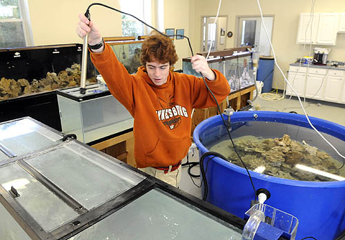 Marine Biology hardest majors in college Marine Biology hardest majors in college