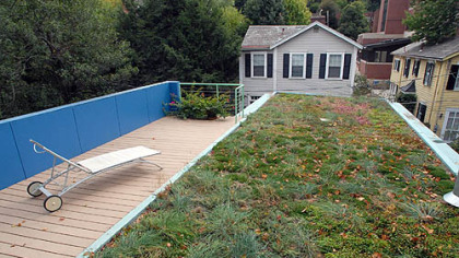 The living roof of Eric and Mary Fisher's Shadyside home. Mr. Fisher will discuss the roof and house he designed at the Pittsburgh Design Fair on Sunday.