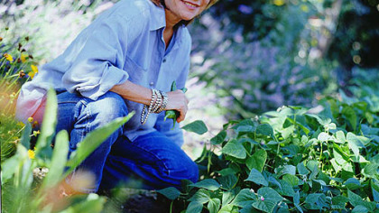 Jesse Ziff Cool, author of "Simply Organic."