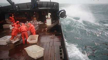 Decked out for danger on "Deadliest Catch."