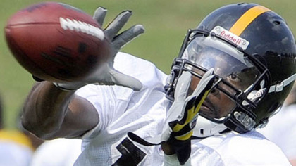 Limas Sweed catches a pass.