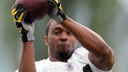 Steelers tight end Dezmond Sherrod makes catch.