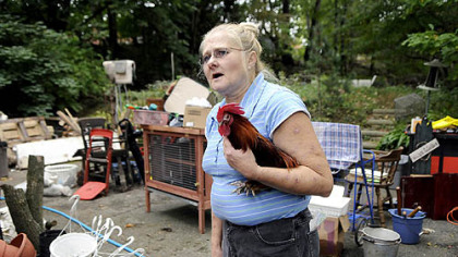 Mary Lu Frankovic, 56, with her rooster, Hank, watches as humane officers remove rabbits from her home on Ridgeside Road in Ross yesterday.