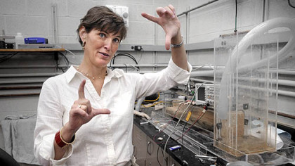 Lisa Mauck Weiland, mechanical engineering professor at the University of Pittsburgh.
