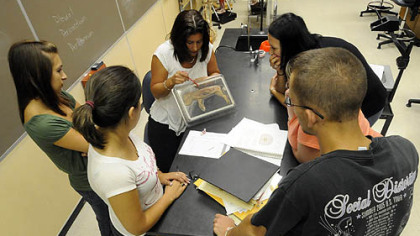 Susanne Kalub, center, teaches a lab for Anatomy & Physiology 1 at Westmoreland County Community College. She is showing students a section of a fetal pig.
