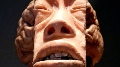 The "Bodies ... The Exhibition" show at Carnegie Science Center uses flayed, dissected and posed bodies from China without consent from the deceased or their relatives.