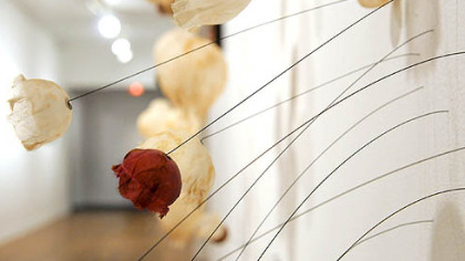 Laura Tabakman used thin wire stems stuck into the wall to keep her flowers afloat in "Floating Garden -- Connected Through Air."