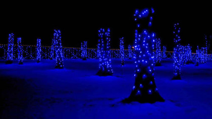 MARSHFIELD, Wis. -- Wildwood Park and Zoo turned into a forest of lights, Dec. 2, as part of the Rotary's holiday display called Winter Wonderland.