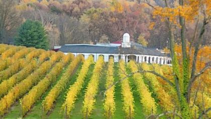 Barboursville Vineyards is one of Virginia's oldest.