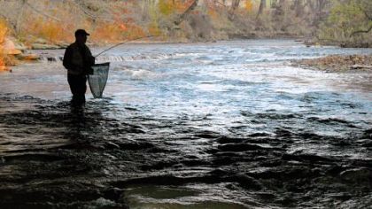 "The old timers remember the salmon runs, and some anglers have been asking us for a little more diversity again." -- Chuck Murray, Pennsylvania Fish and Boat Commission biologist